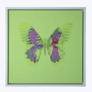 Aura Artwork - Green