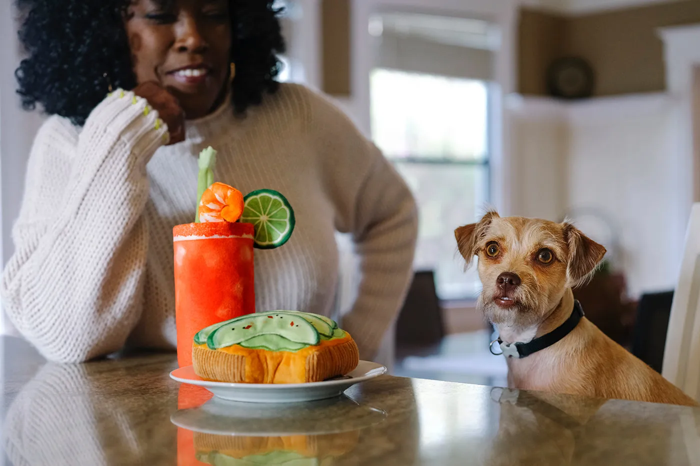 Barking Brunch Collection