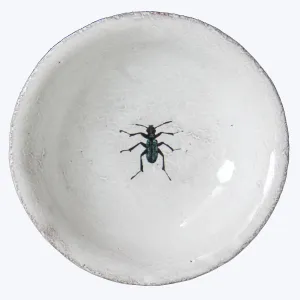 Beetle Saucer