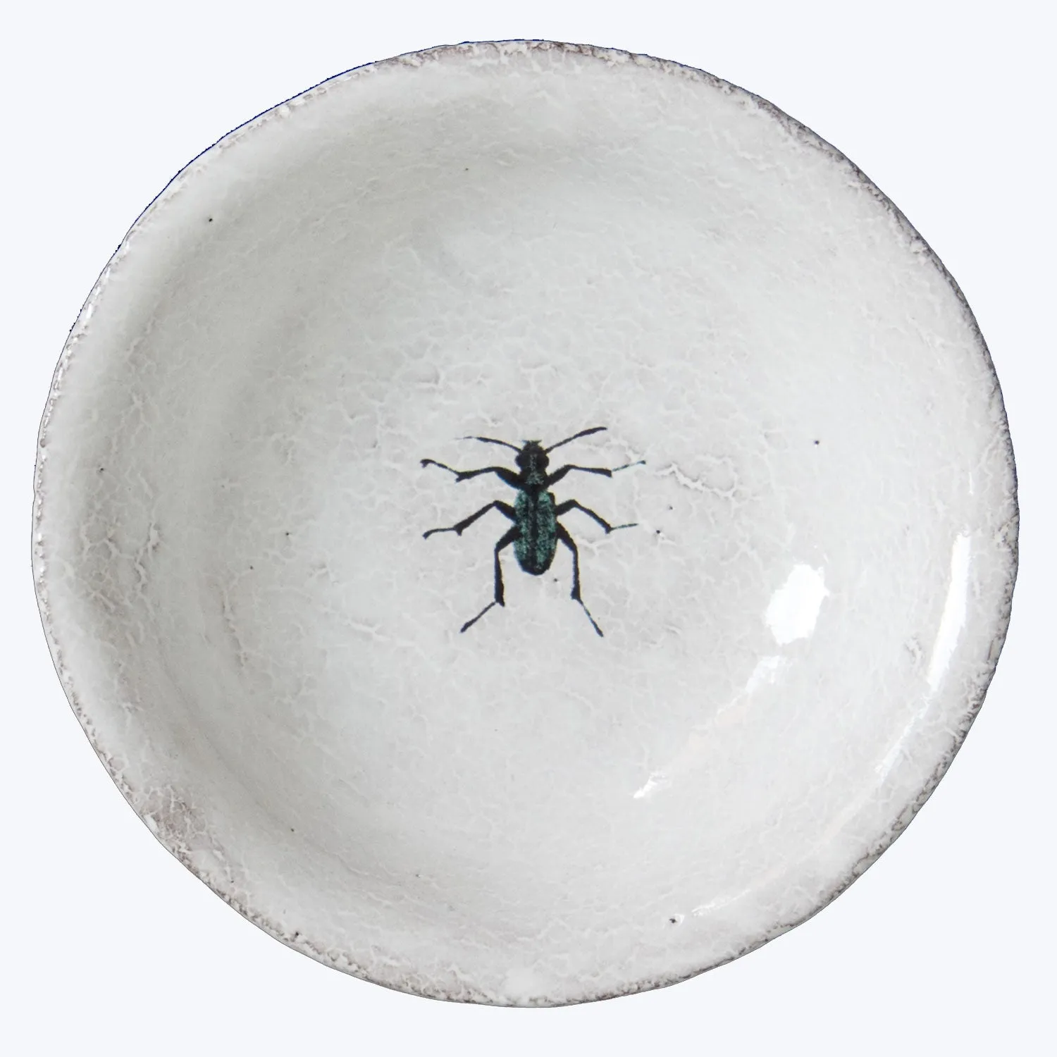 Beetle Saucer