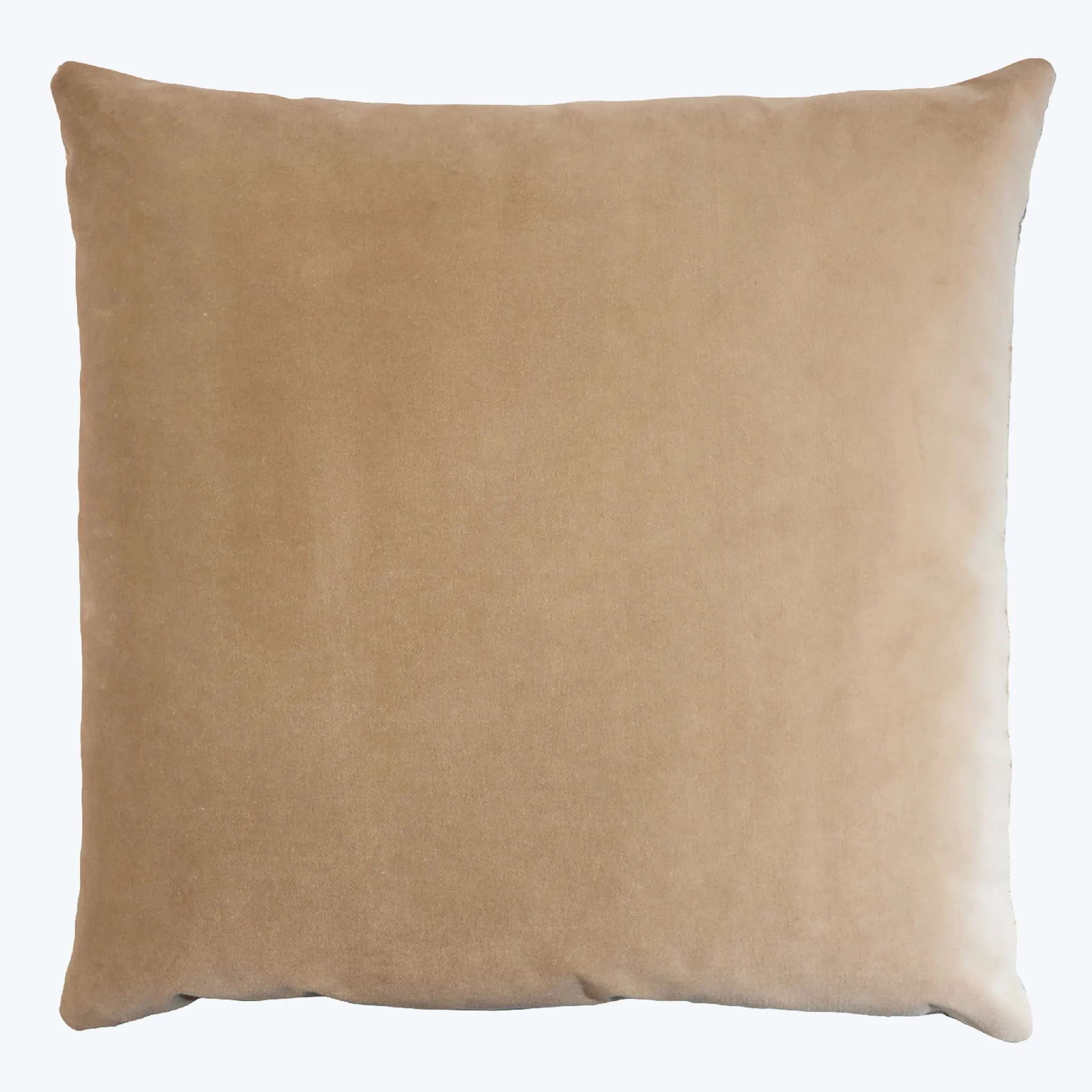 Coral Reef Velvet Pillow, Treasure