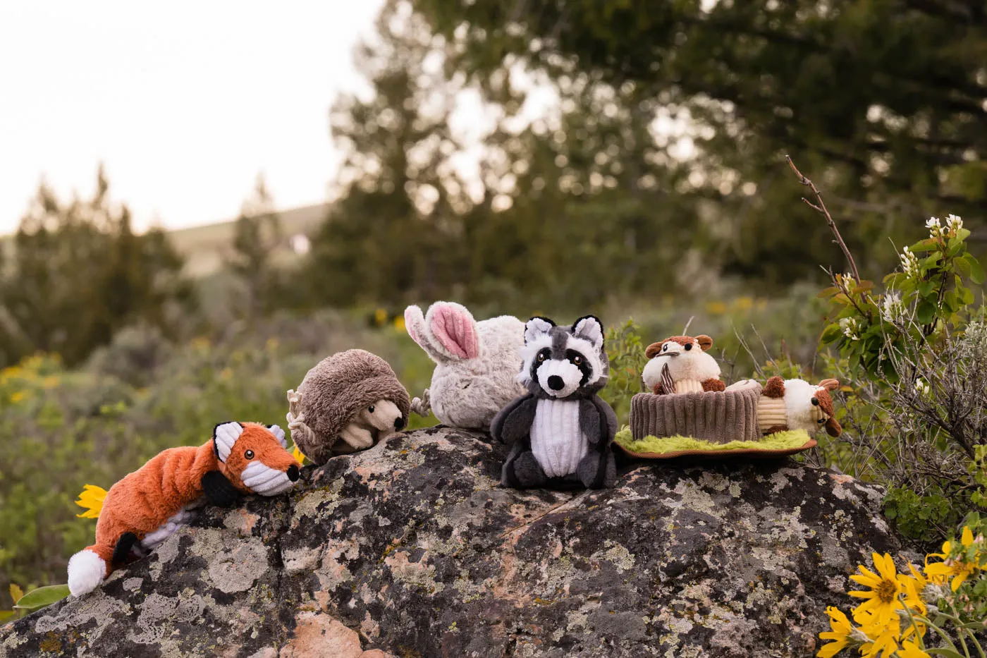 Forest Friends Collection