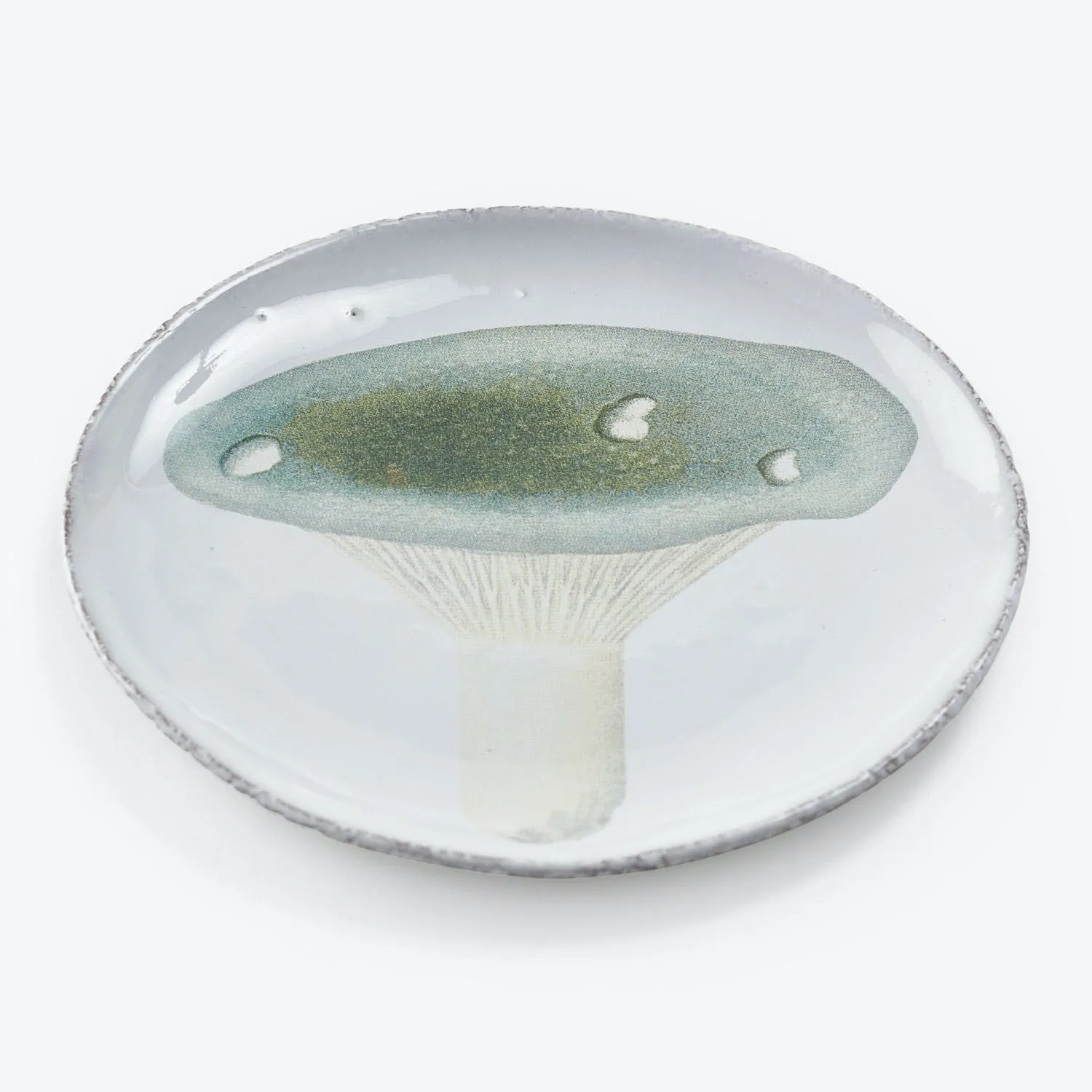 Fourchu Saucer