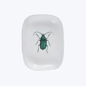 Green Insect Platter