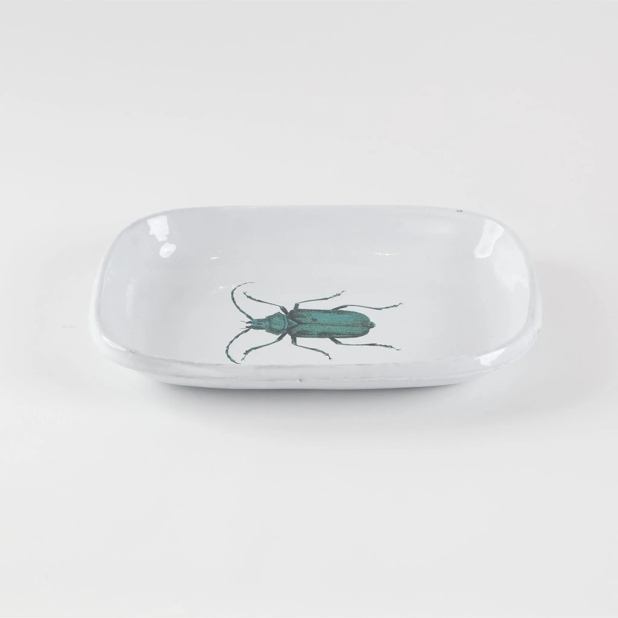 Green Insect Platter