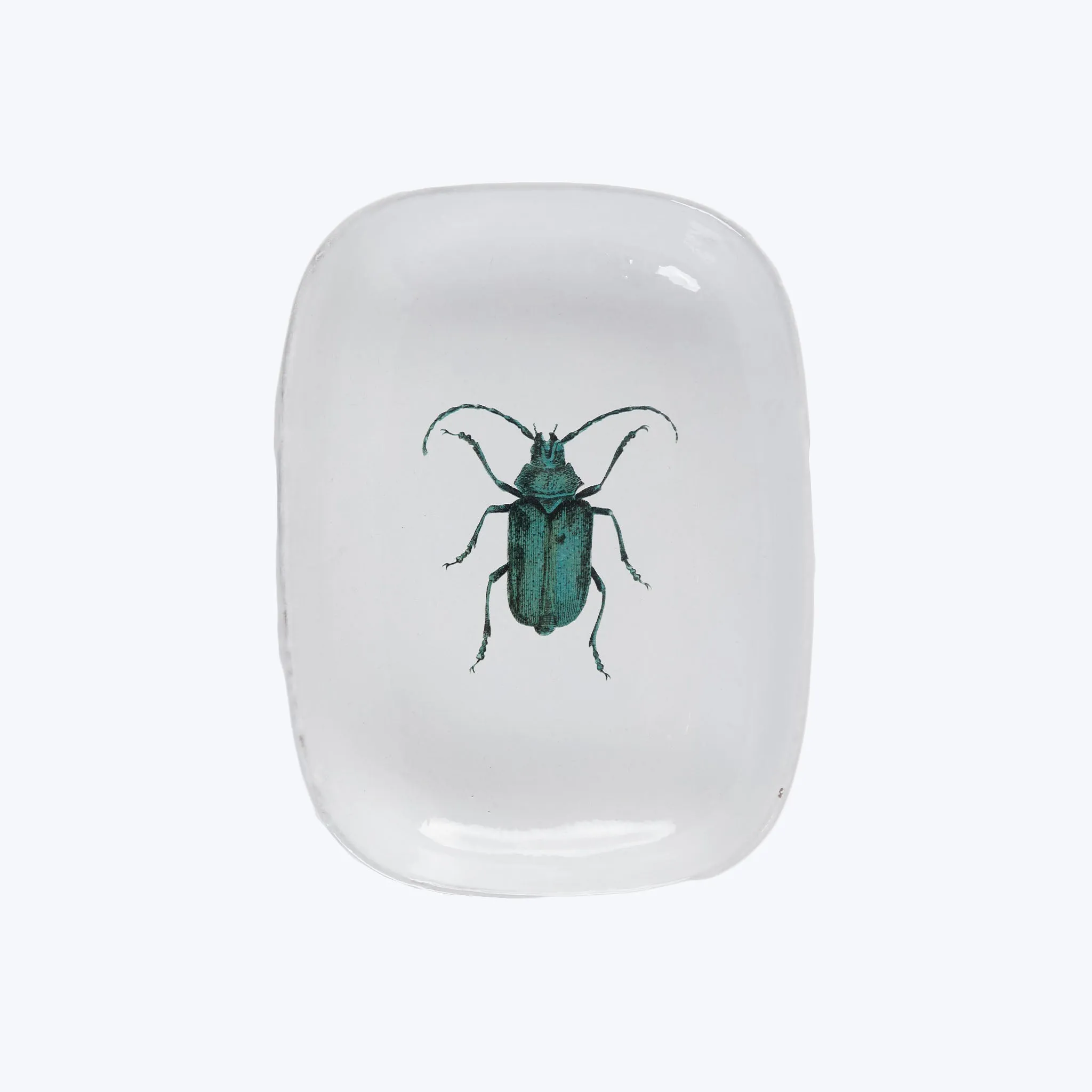 Green Insect Platter