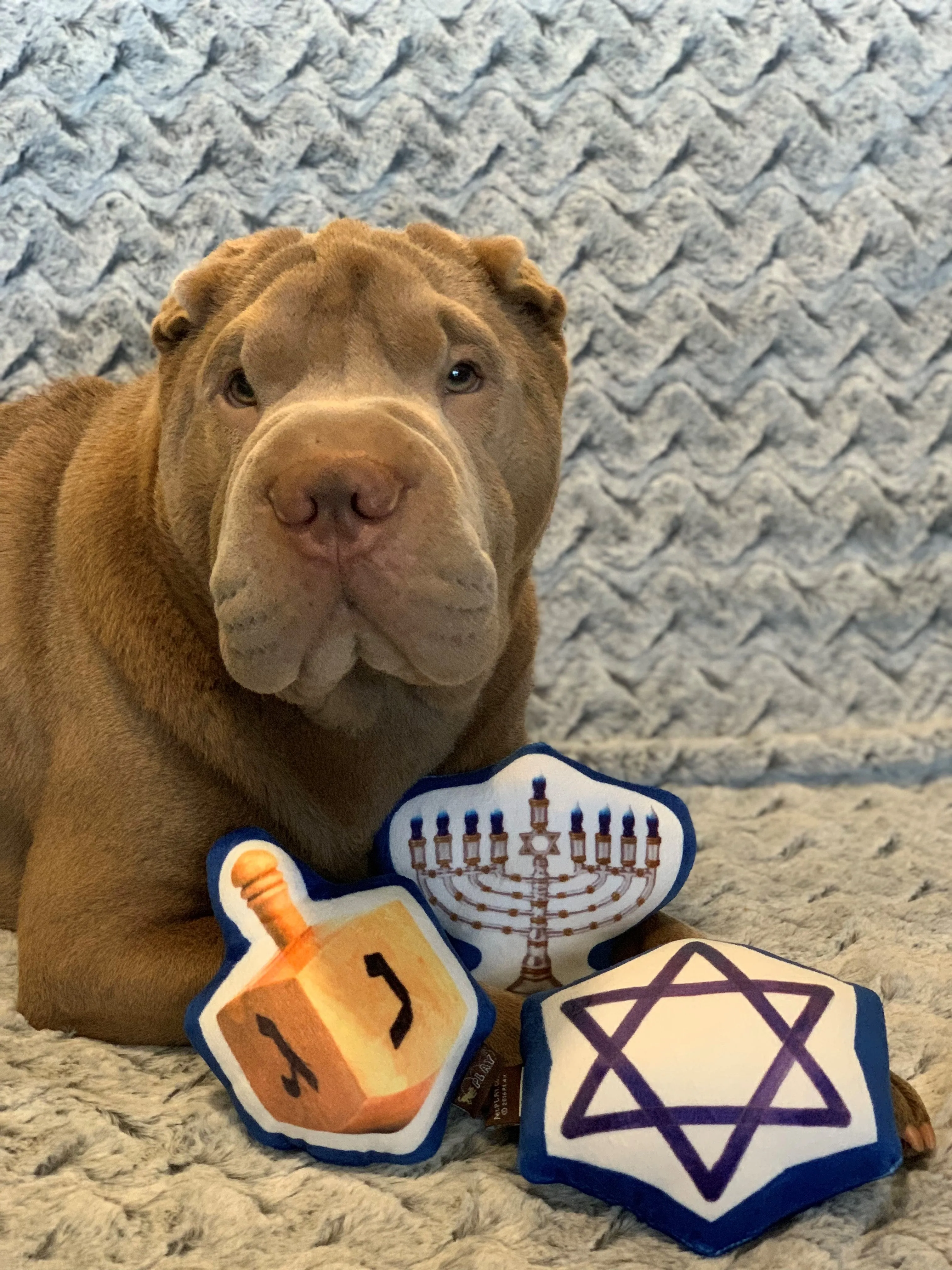 Hanukkah Dog Toys