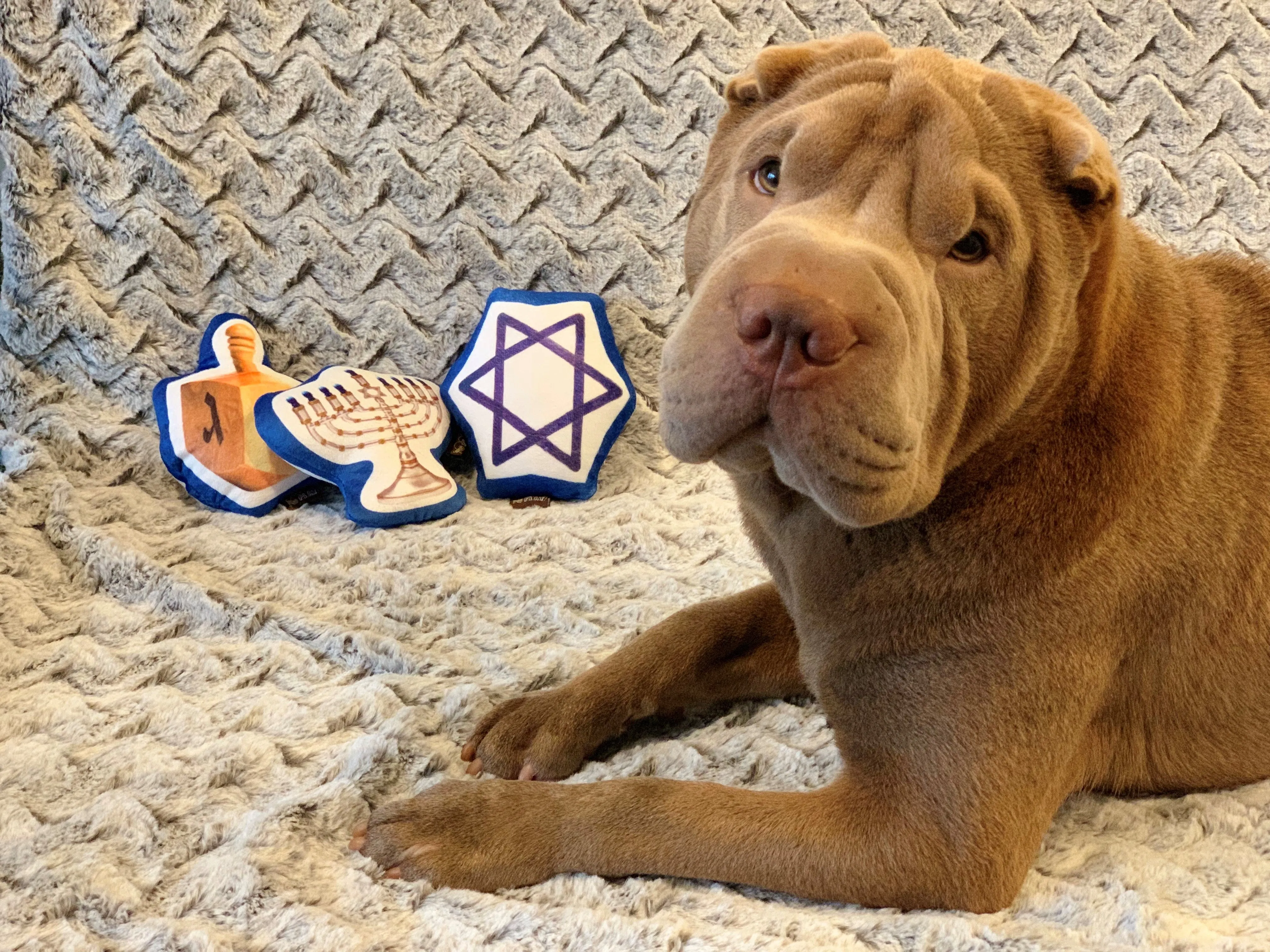 Hanukkah Dog Toys