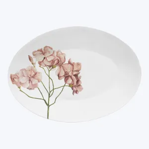 John Derian Nerium Oleander Oval Platter