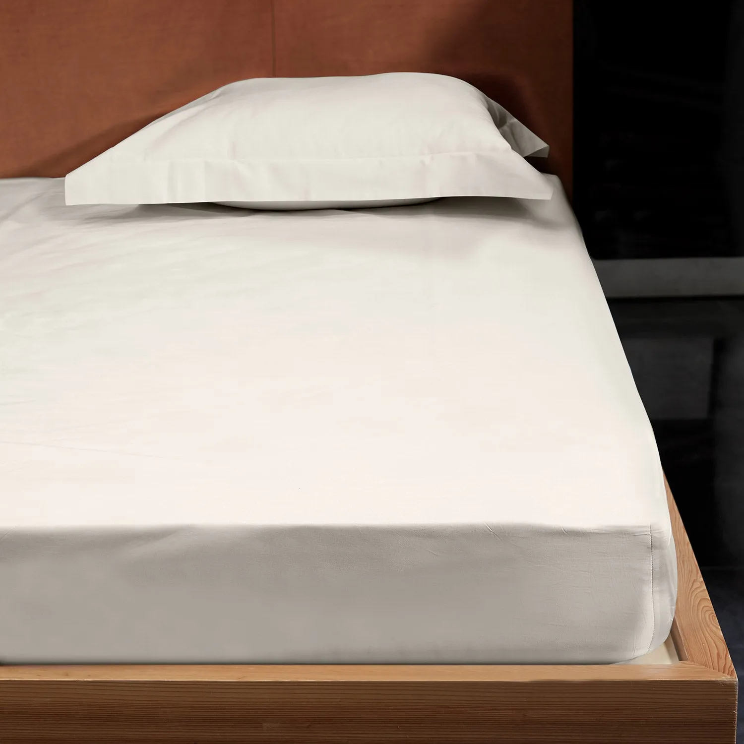 Luna Stella Sheet, Ivory