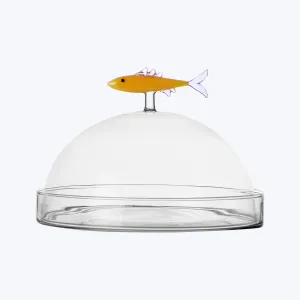Marine Garden Dome with Dish, Sardine