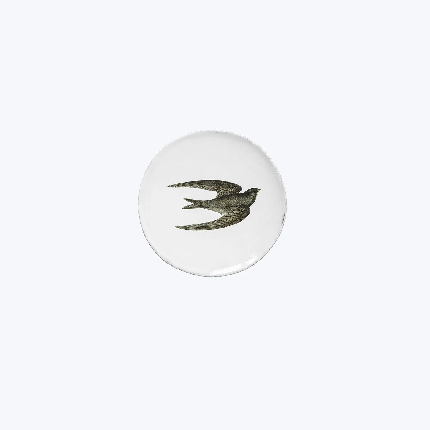 Medium Swift Plate