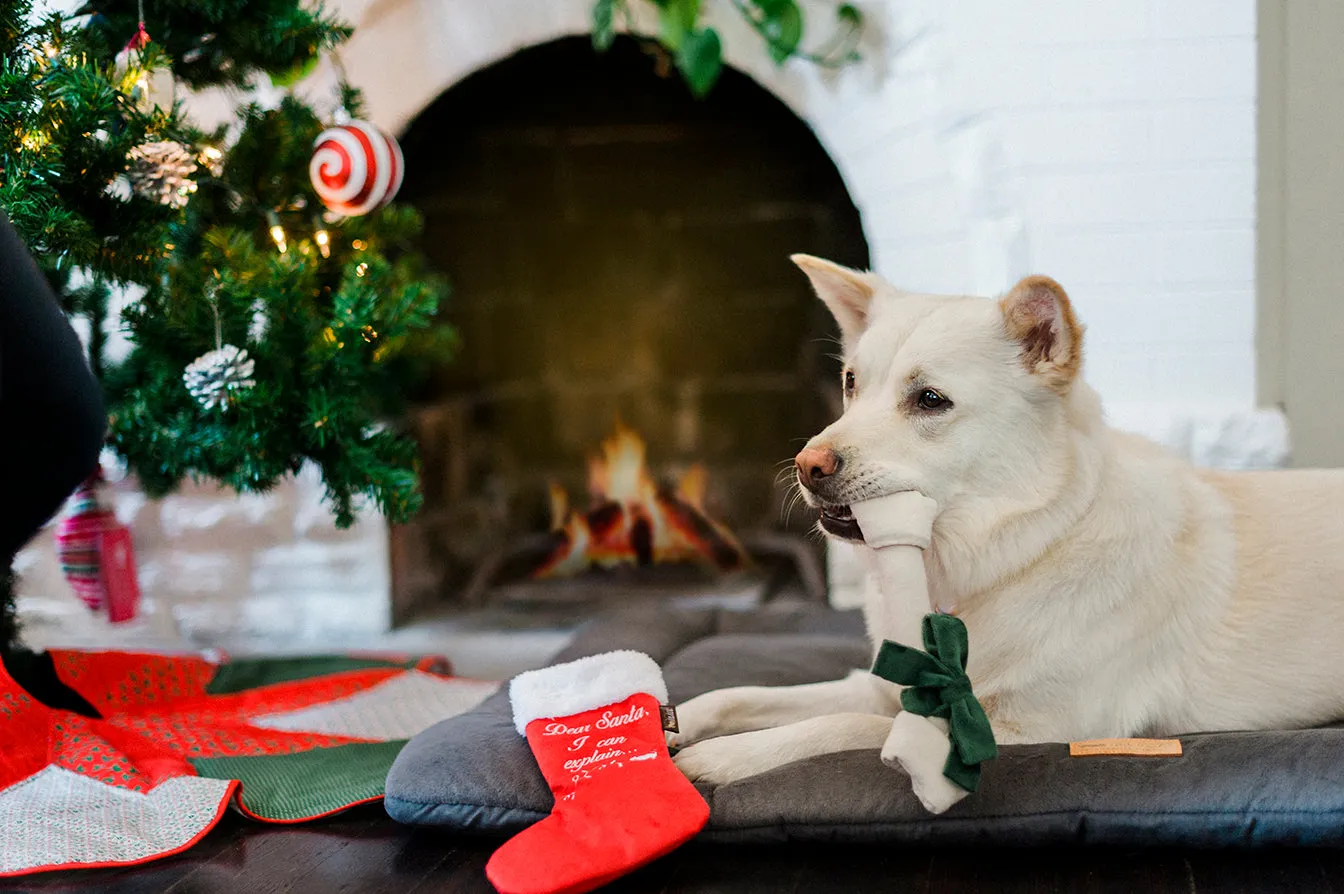 Merry Woofmas Collection
