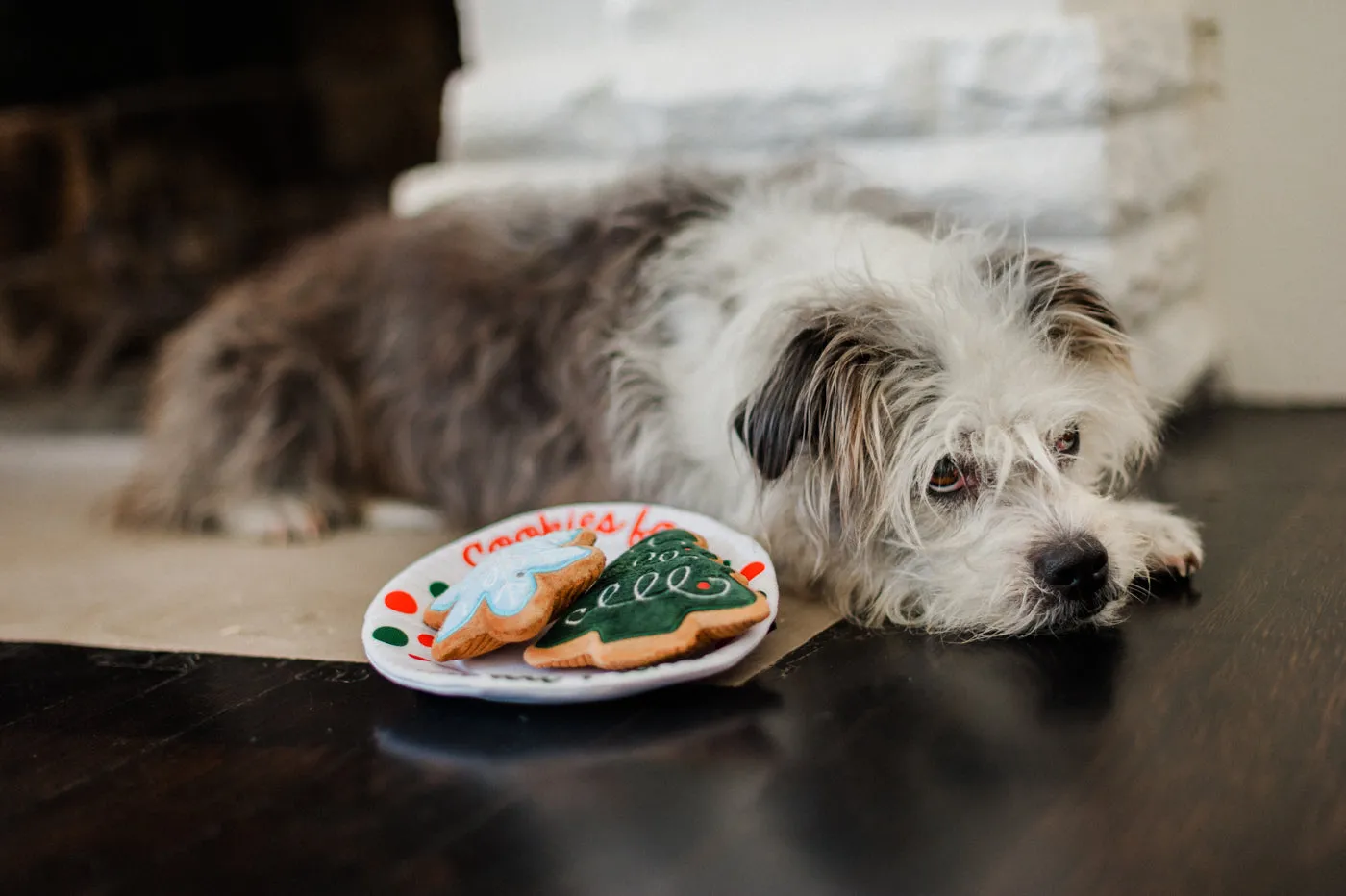 Merry Woofmas Collection