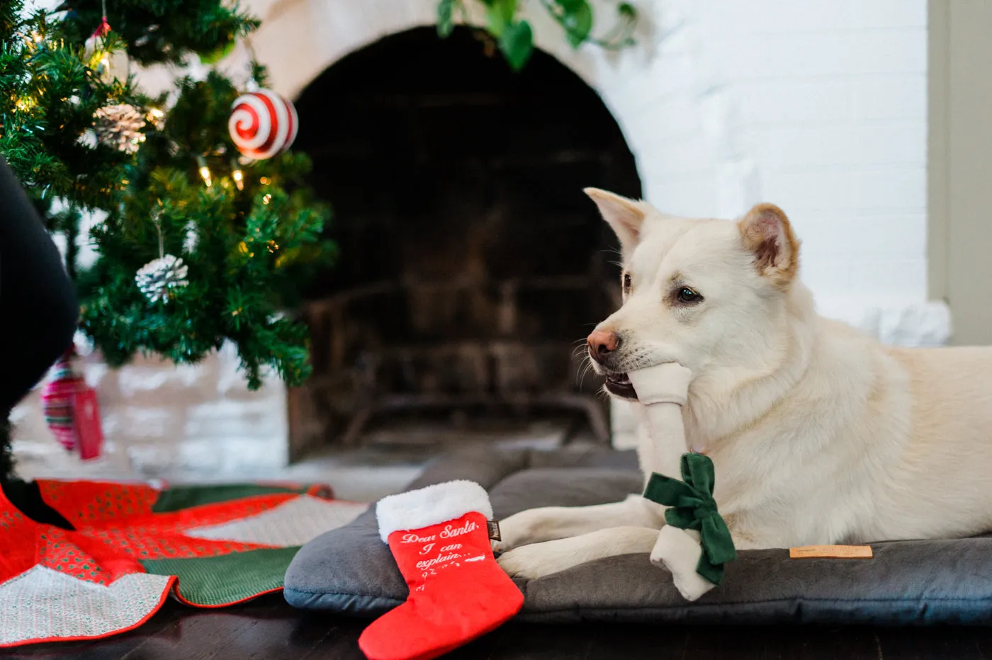 Merry Woofmas Good Dog Stocking