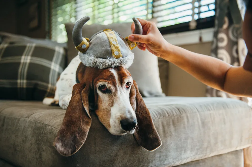 Mutt Hatter Collection