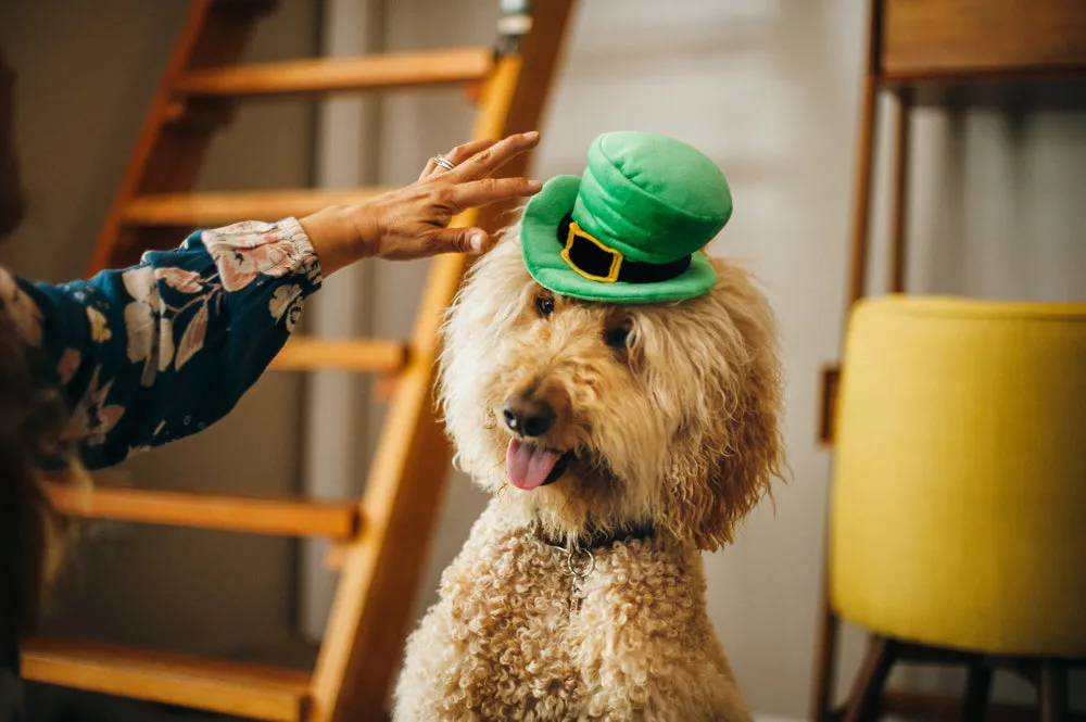 Mutt Hatter Collection