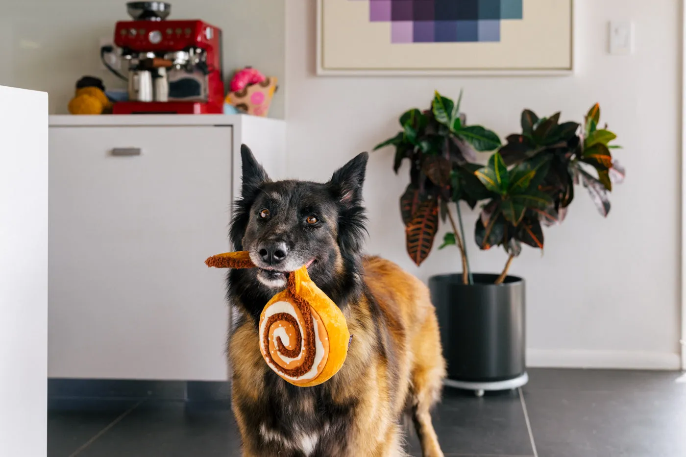 Pup Cup Cafe Cinna-bone