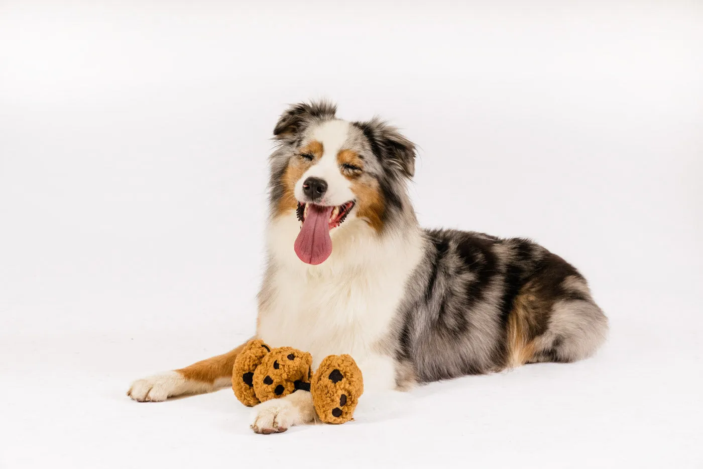 Pup Cup Cafe Cookies n’ Treats