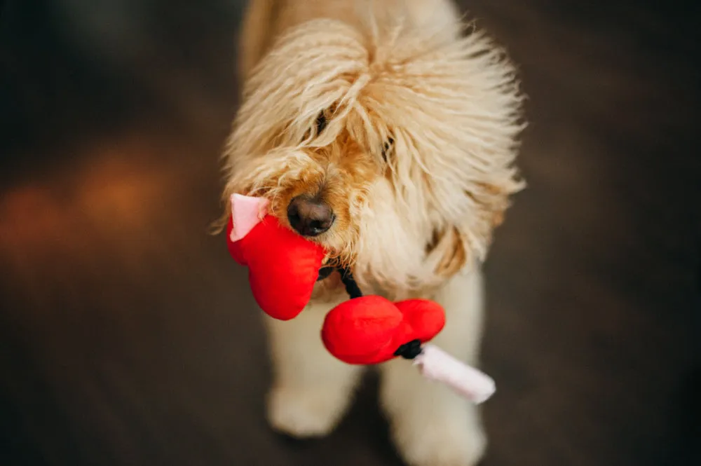 Puppy Love Collection