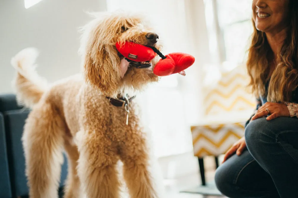 Puppy Love Fur-ever Hearts