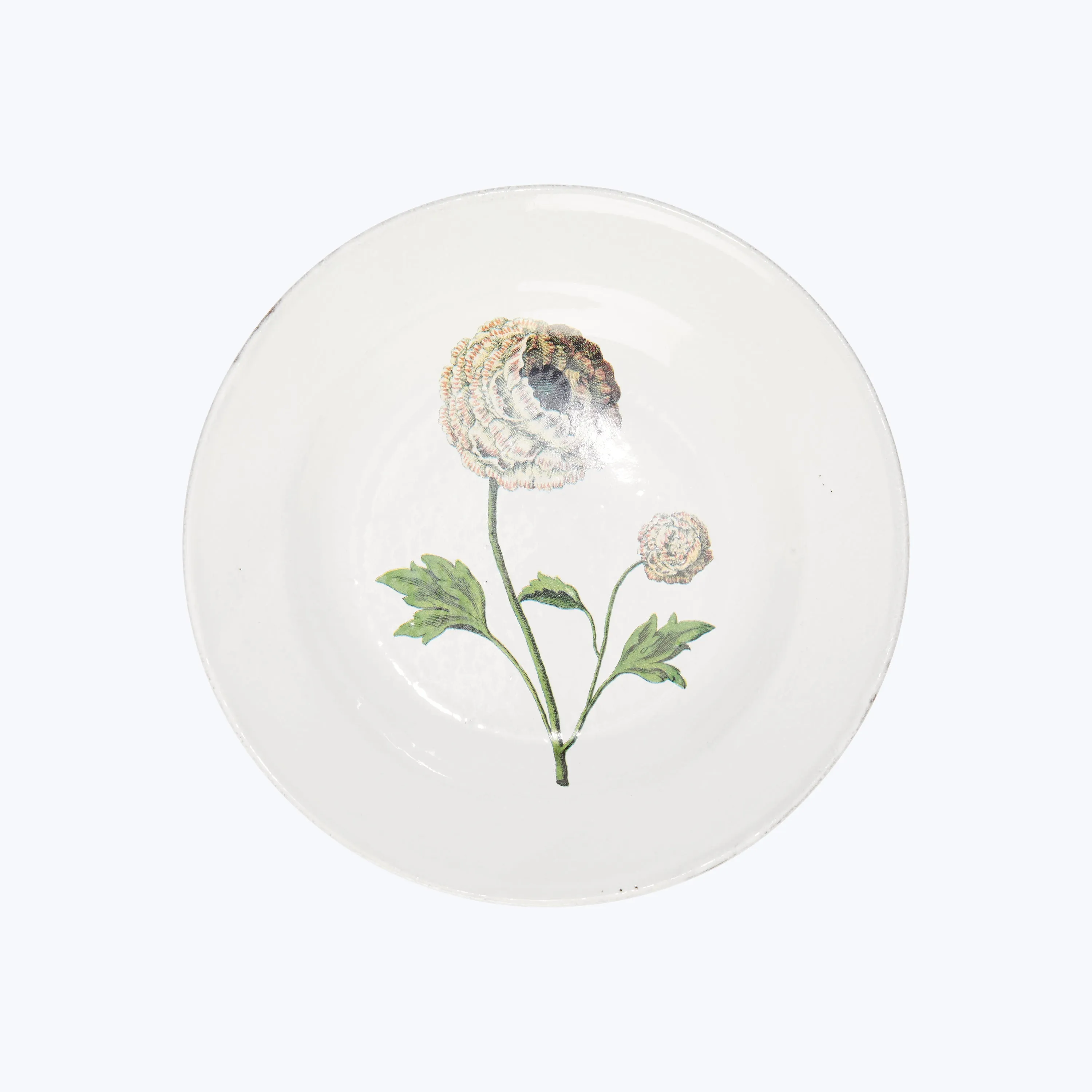 Ranunculus Soup Plate