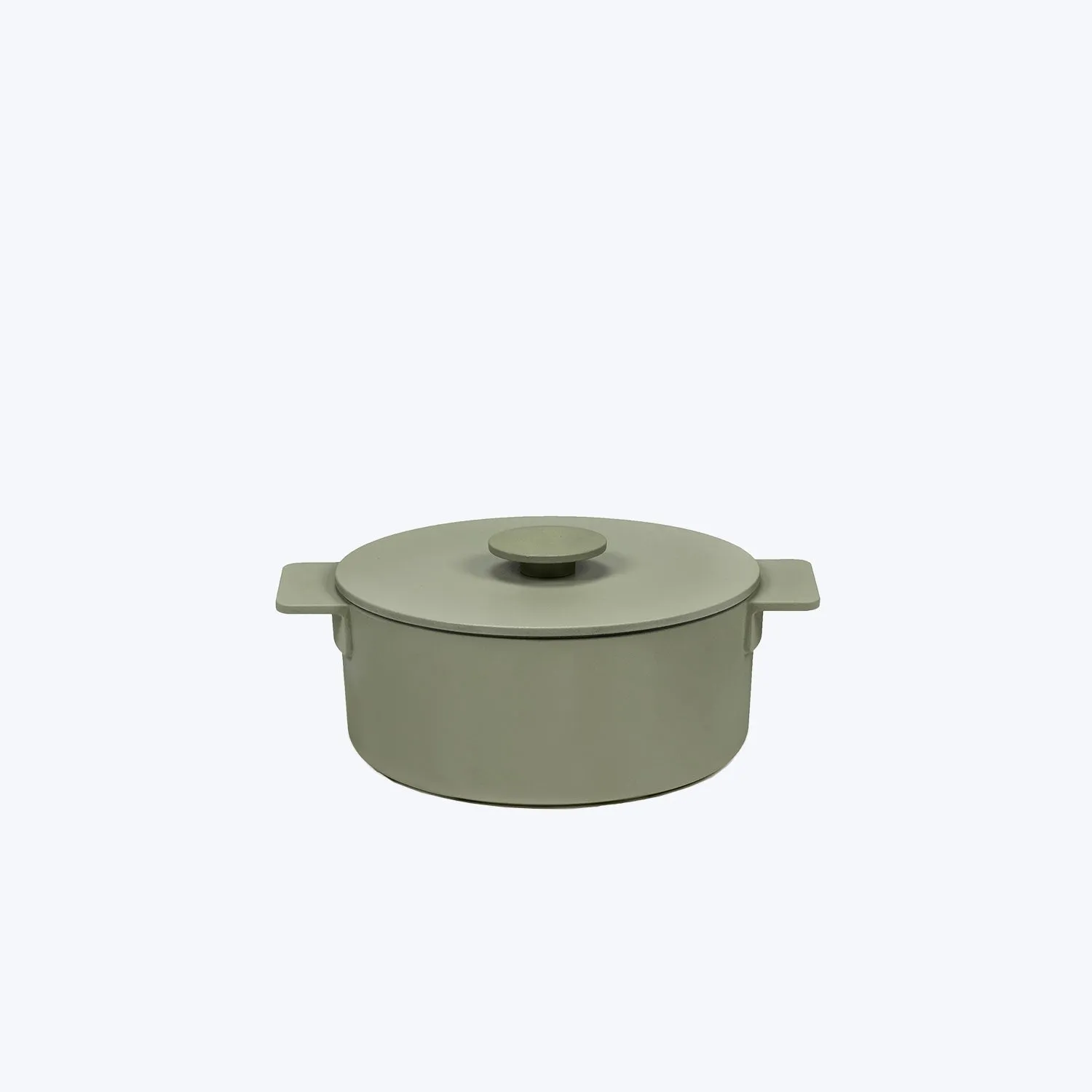 Surface Cast Iron Pot