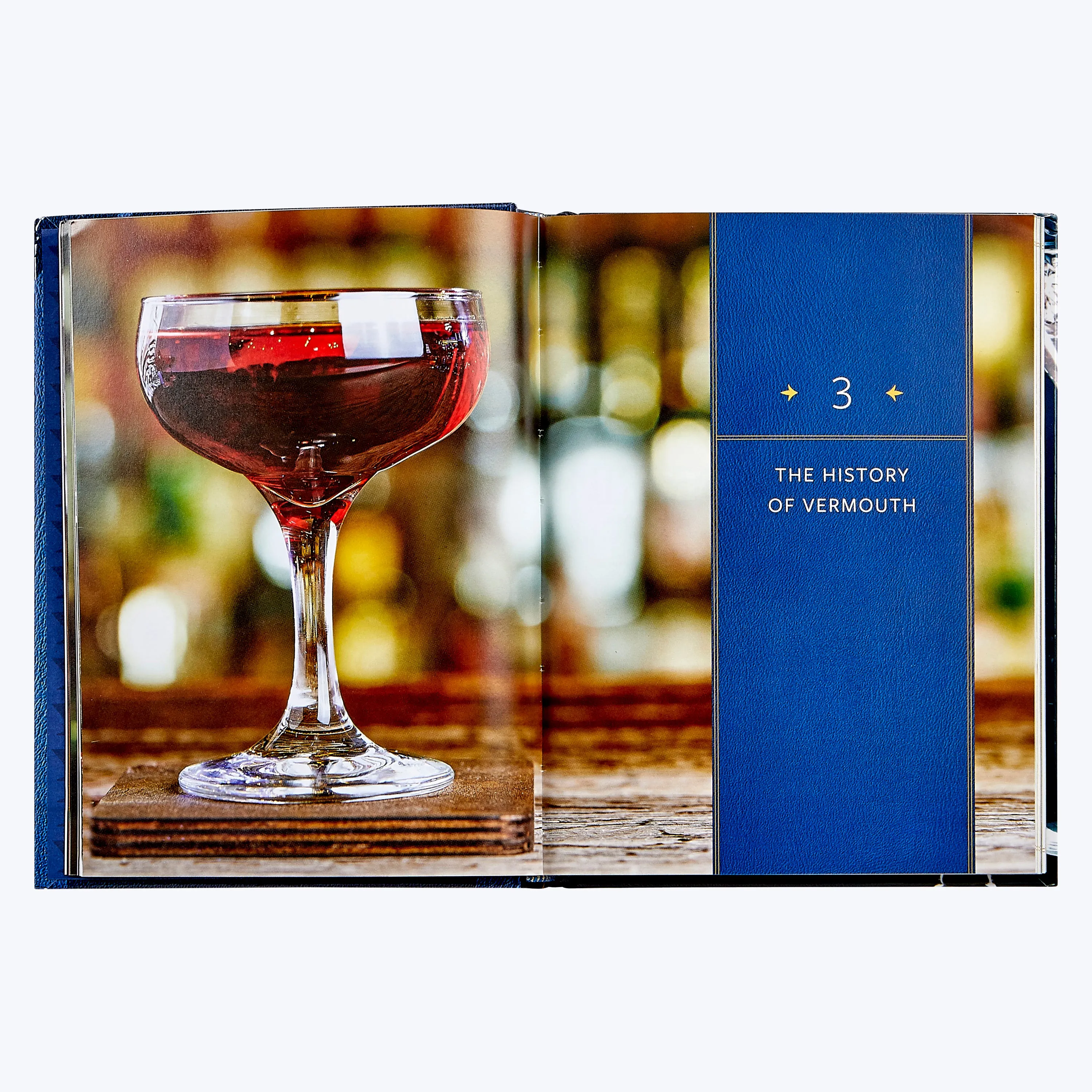 The Martini Field Guide Leather Bound Book