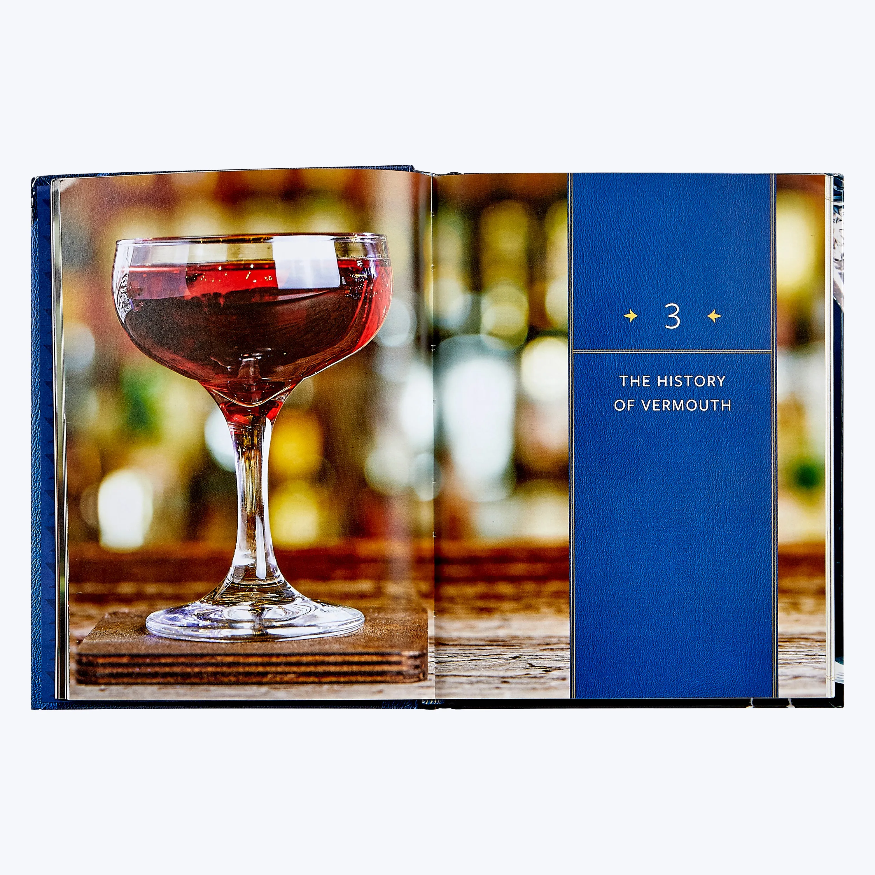 The Martini Field Guide Leather Bound Book